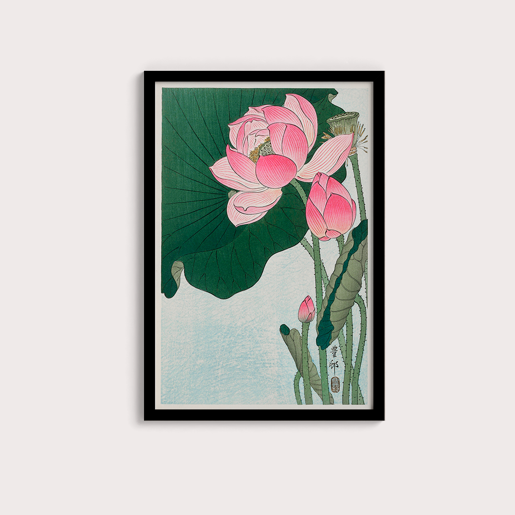 Blooming lotus flowers por Ohara Koson
