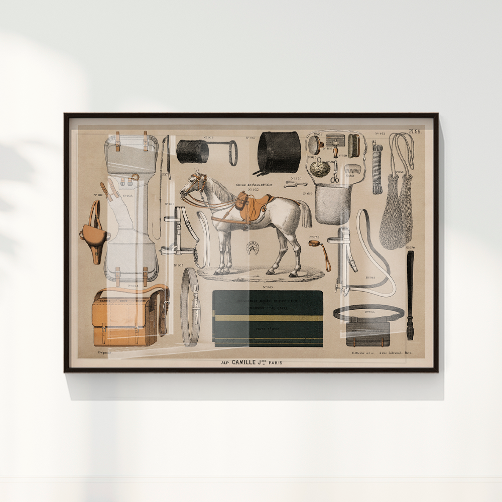 Quadro Antigos Equipamentos de equitação