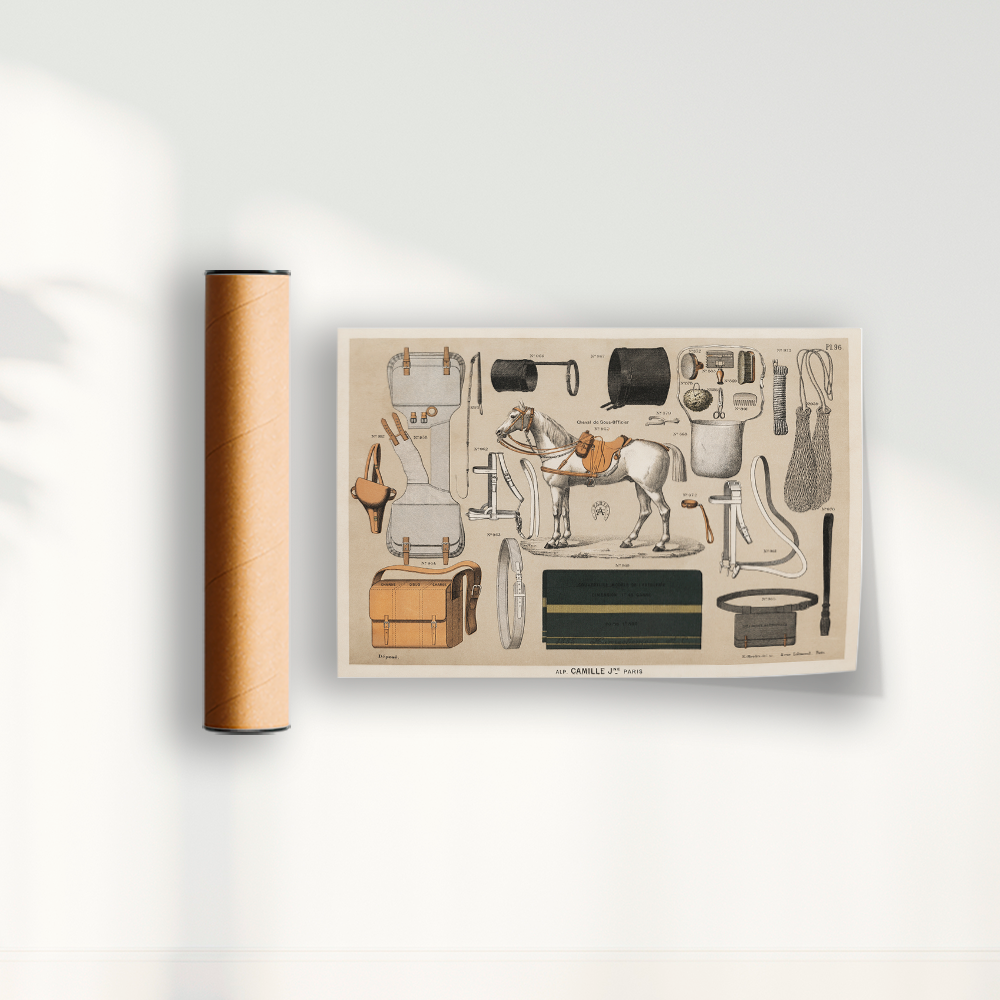 Quadro Antigos Equipamentos de equitação