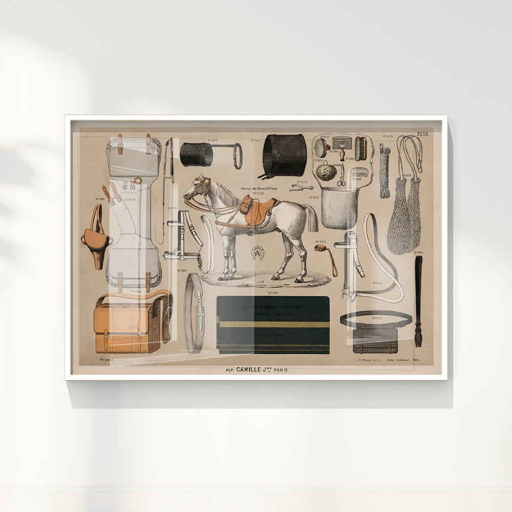 Quadro Antigos Equipamentos de equitação