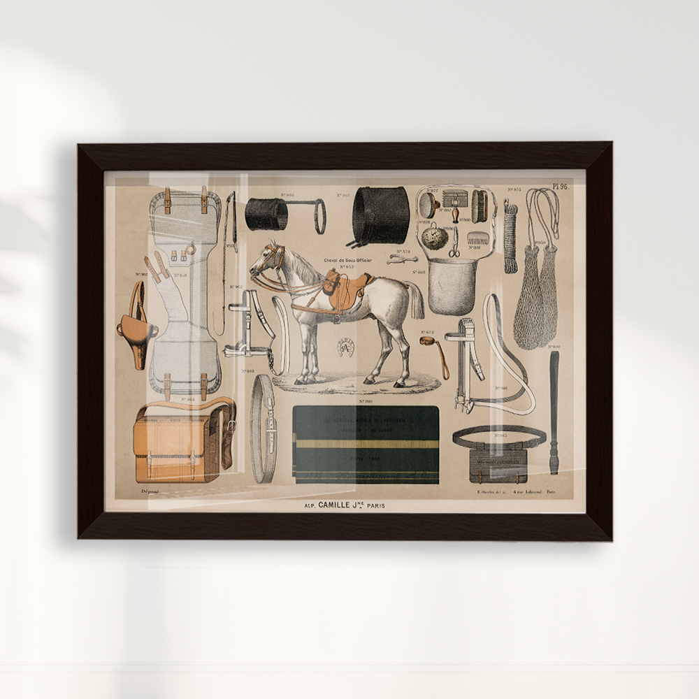 Quadro Antigos Equipamentos de equitação