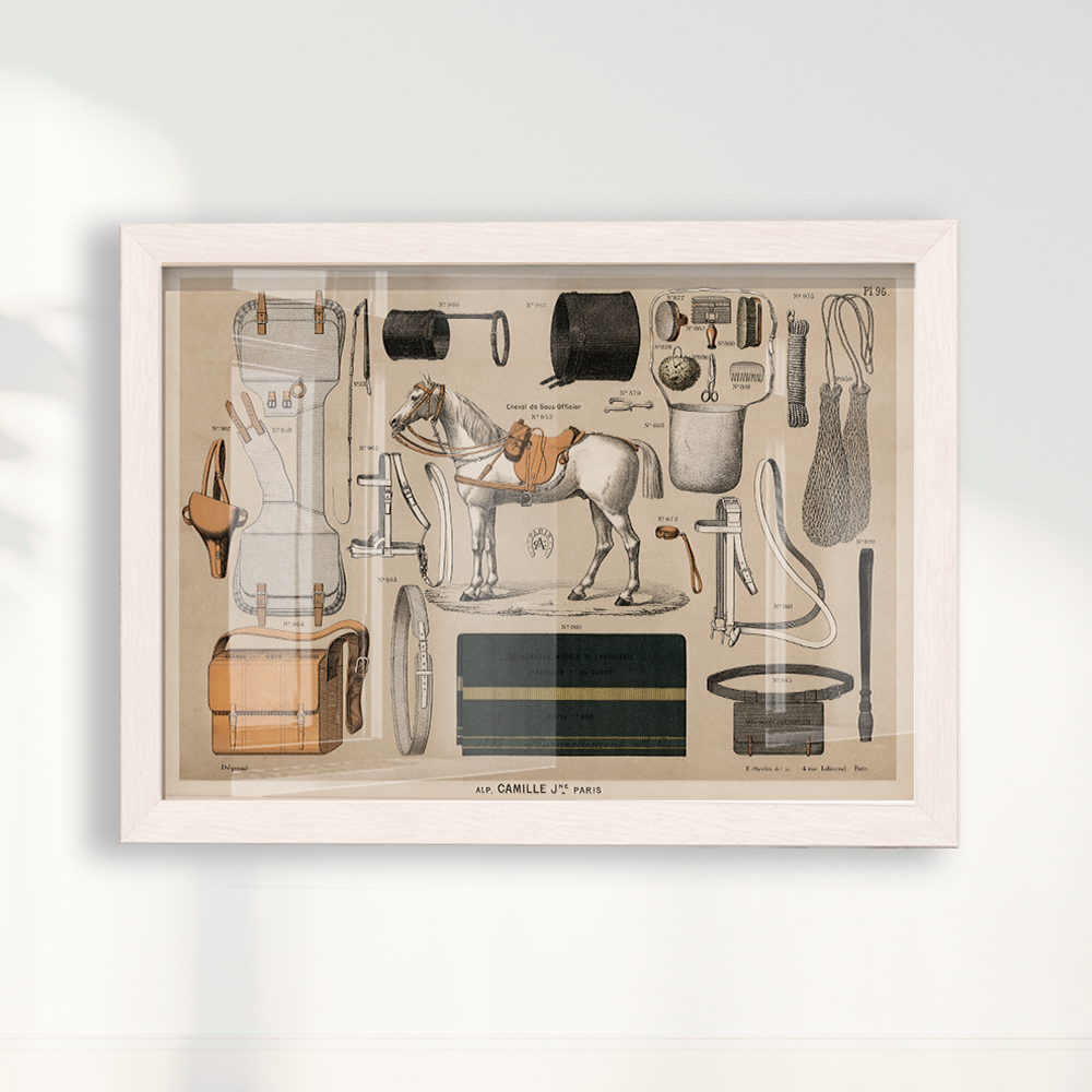 Quadro Antigos Equipamentos de equitação