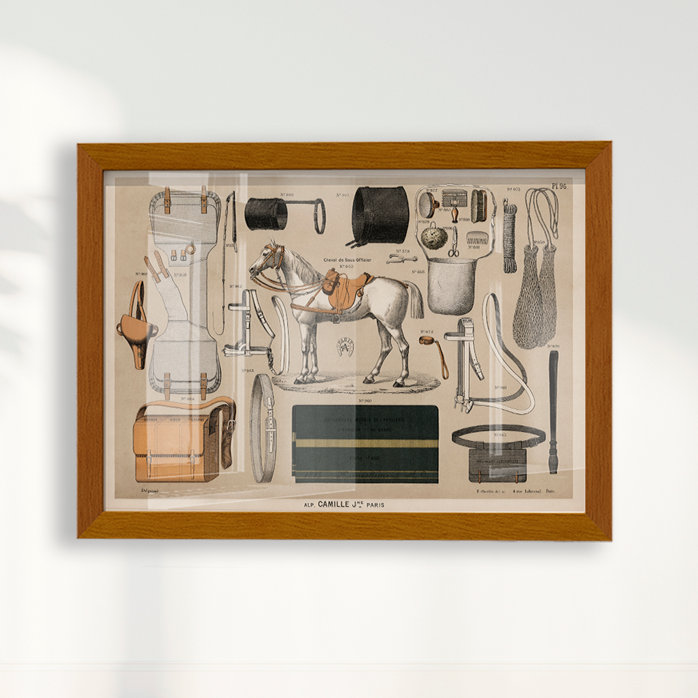 Quadro Antigos Equipamentos de equitação