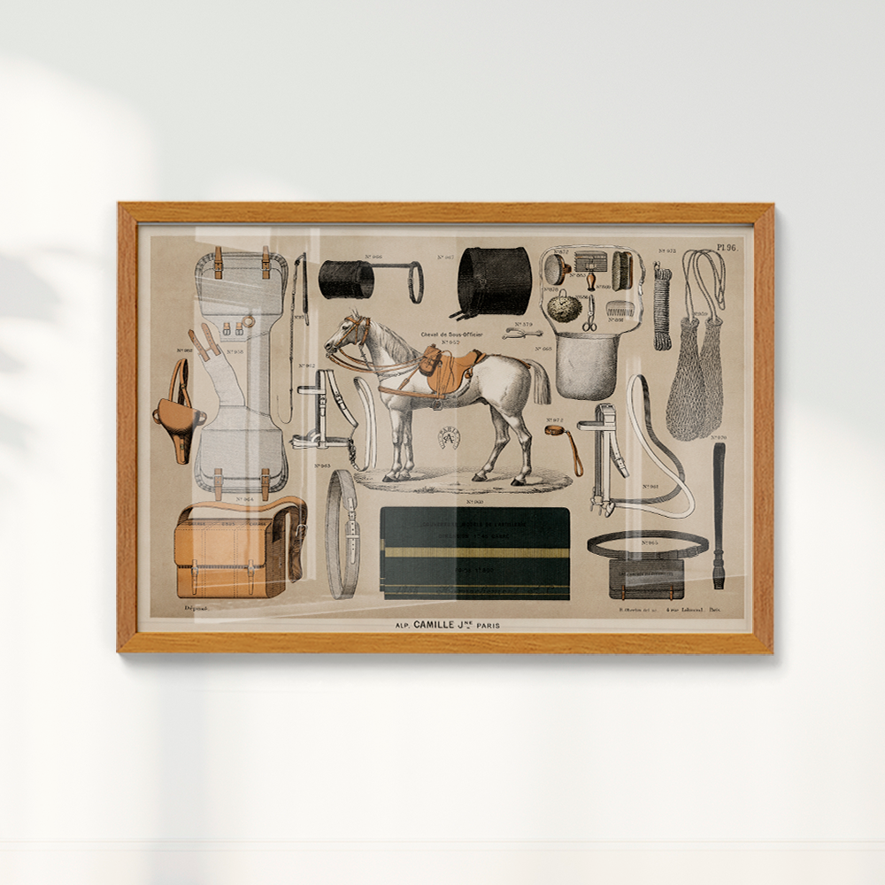 Quadro Antigos Equipamentos de equitação