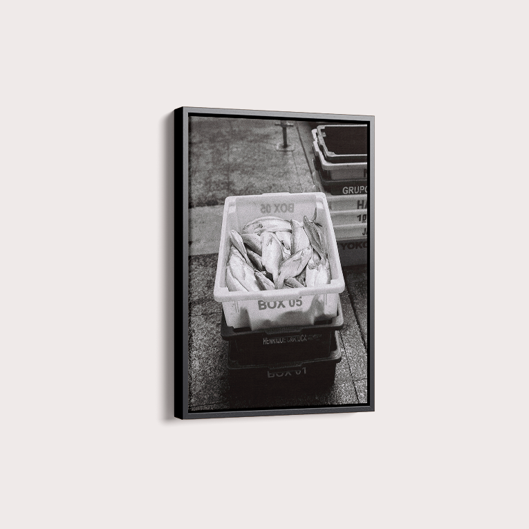 Quadro Box 05 por Angus Waddacor-McConill