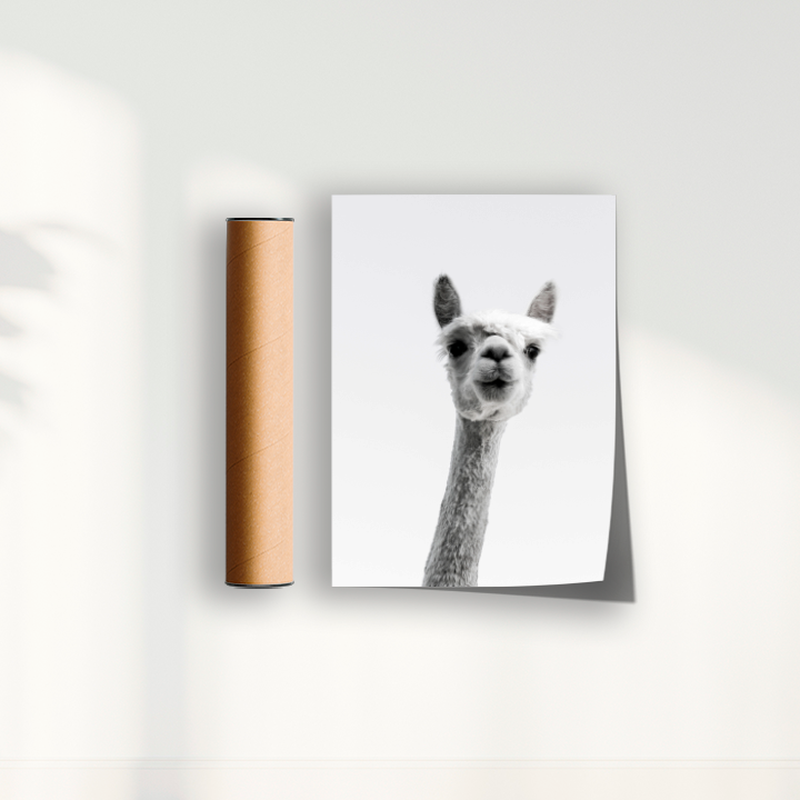Alpaca B&W
