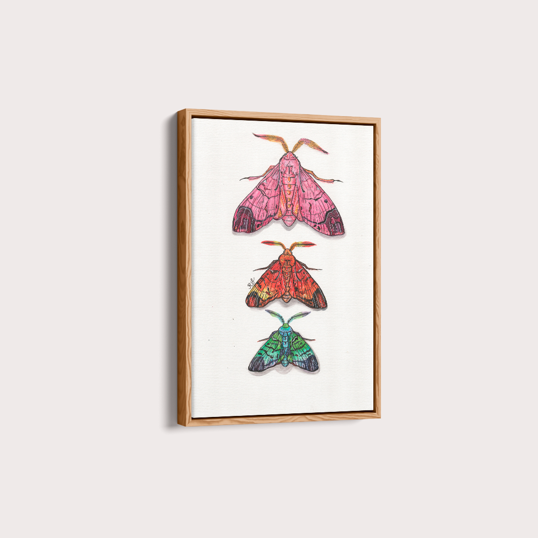 Quadro Aquarelando 14 por Rayana Karoline