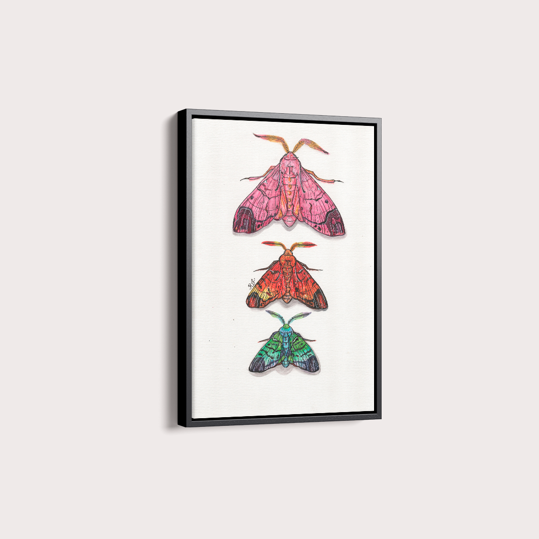 Quadro Aquarelando 14 por Rayana Karoline