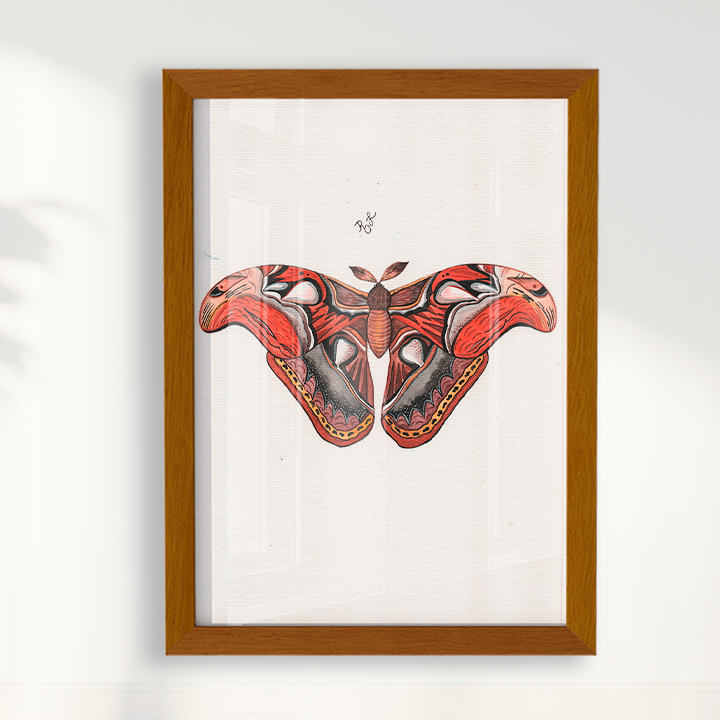 Quadro Aquarelando 3 por Rayana Karoline