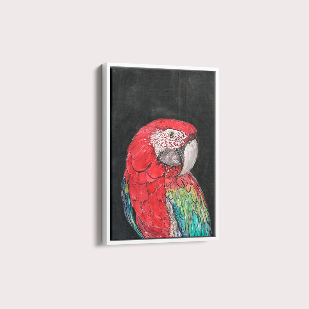 Quadro Arara por aquarelando