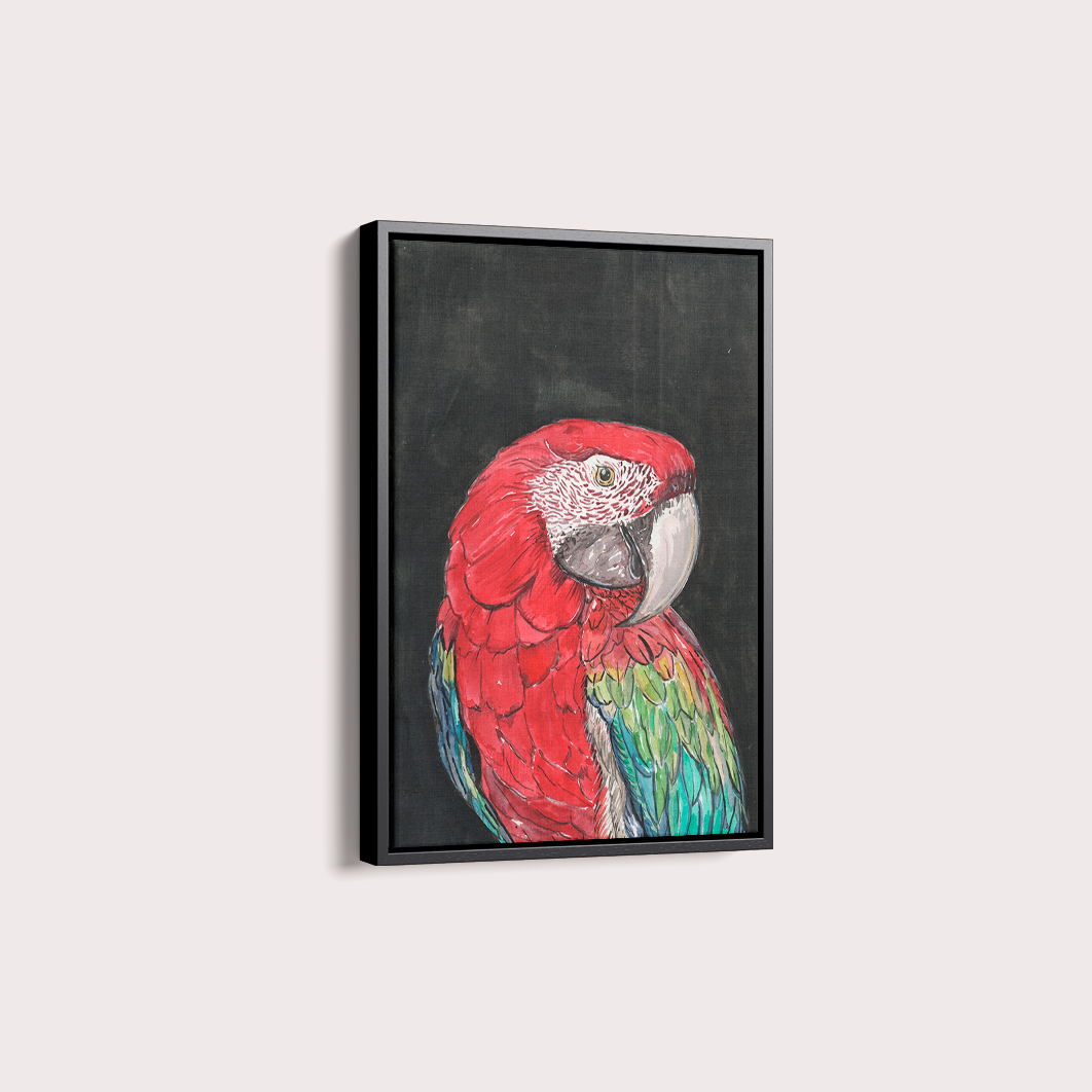 Quadro Arara por aquarelando