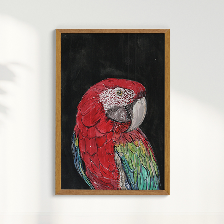 Quadro Arara por aquarelando