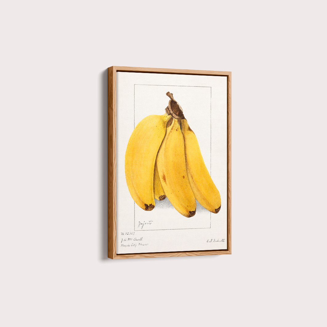 Quadro Banana Vintage