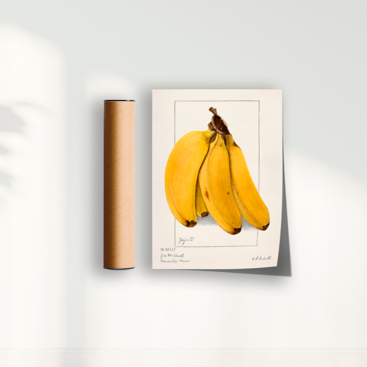 Quadro Banana Vintage