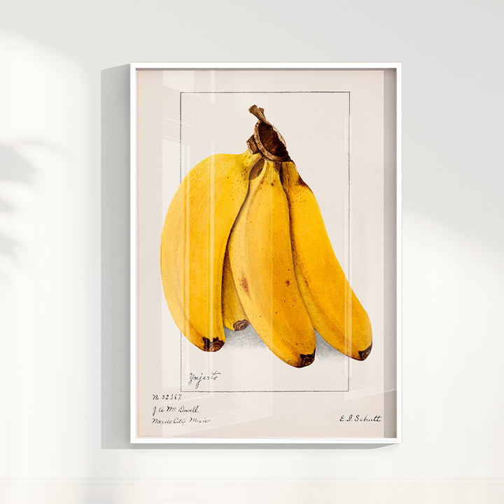 Quadro Banana Vintage
