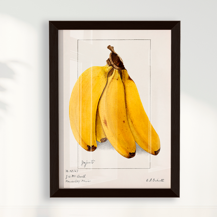 Quadro Banana Vintage