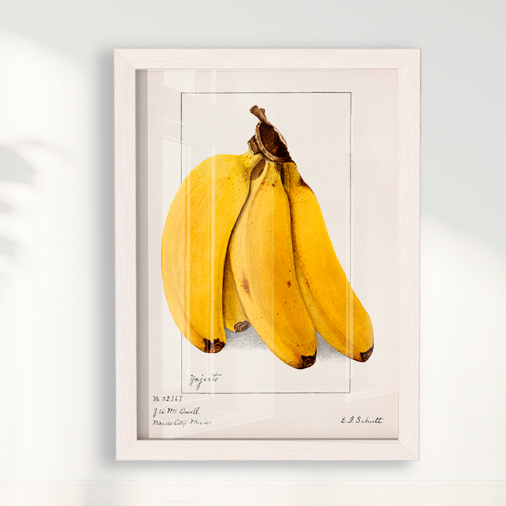 Quadro Banana Vintage