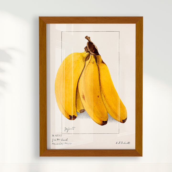Quadro Banana Vintage