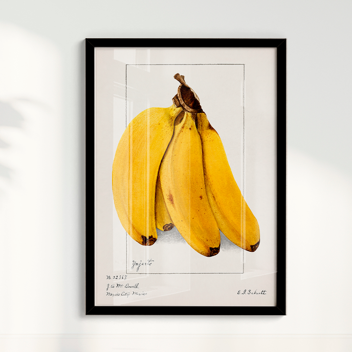 Quadro Banana Vintage