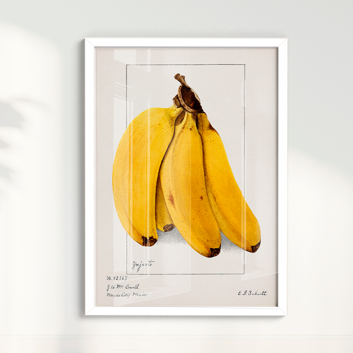 Quadro Banana Vintage