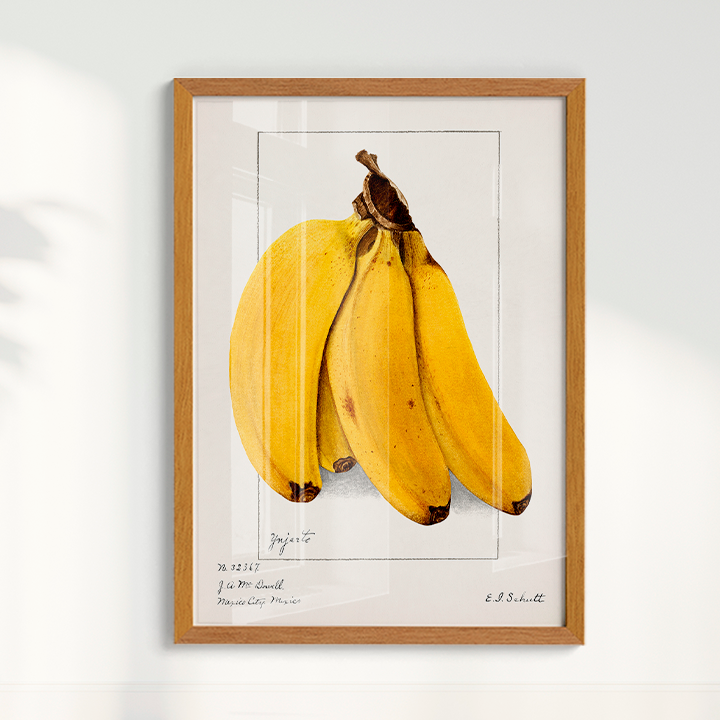Quadro Banana Vintage