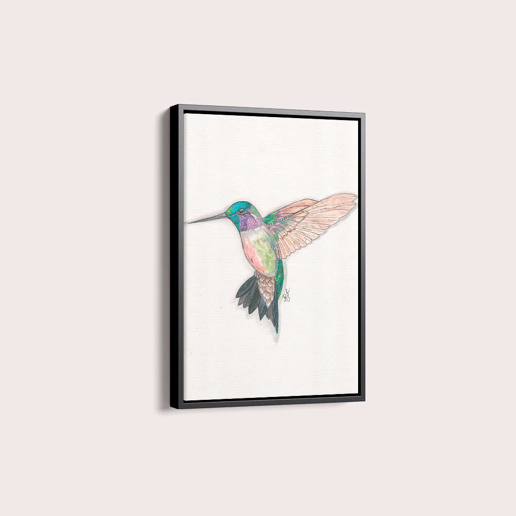 Quadro Beija Flor Aquarelando 26 por Rayana Karoline