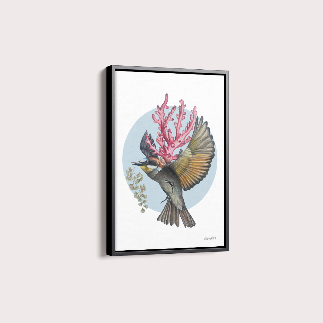 Quadro Bem-te-vi por Bruno Felipe