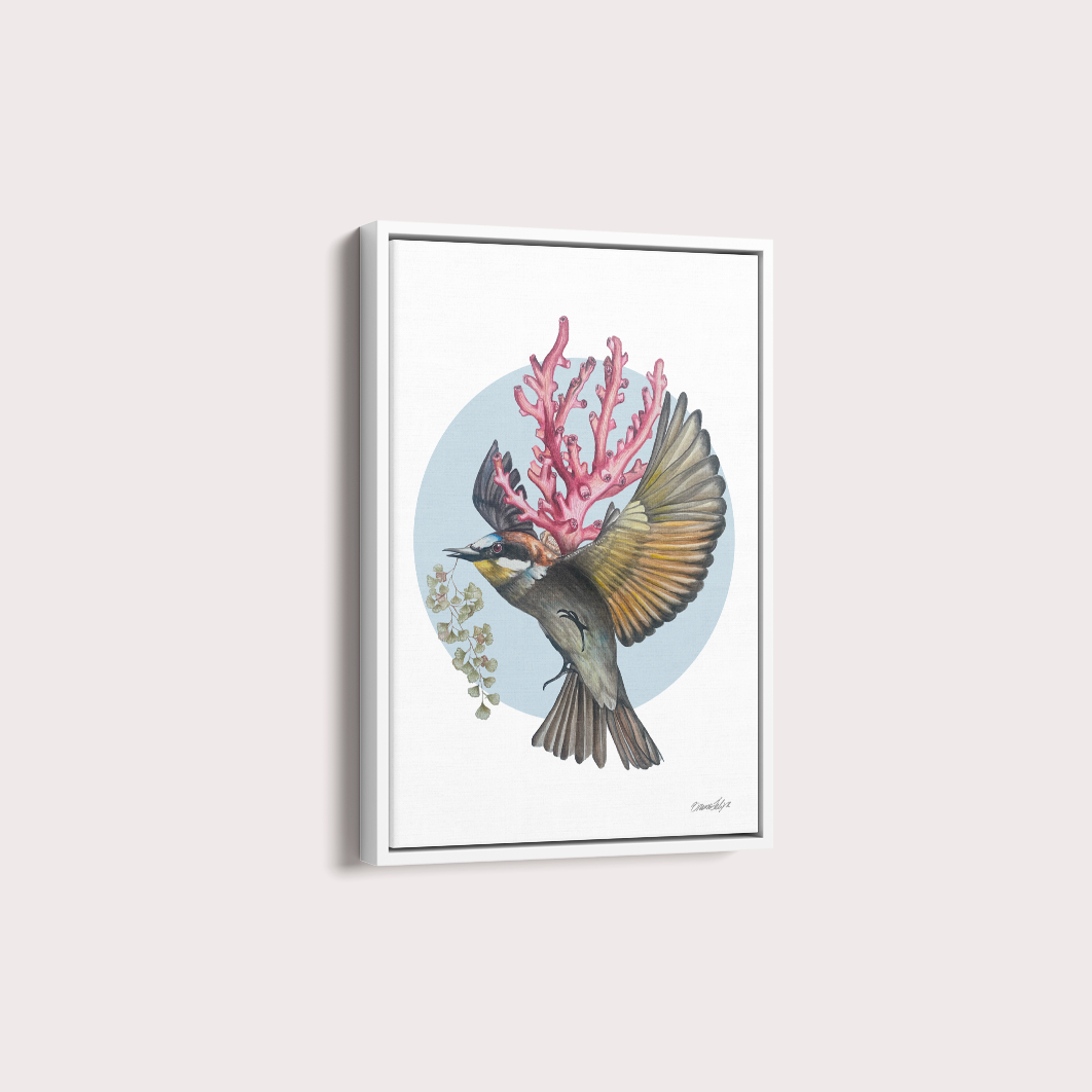 Quadro Bem-te-vi por Bruno Felipe