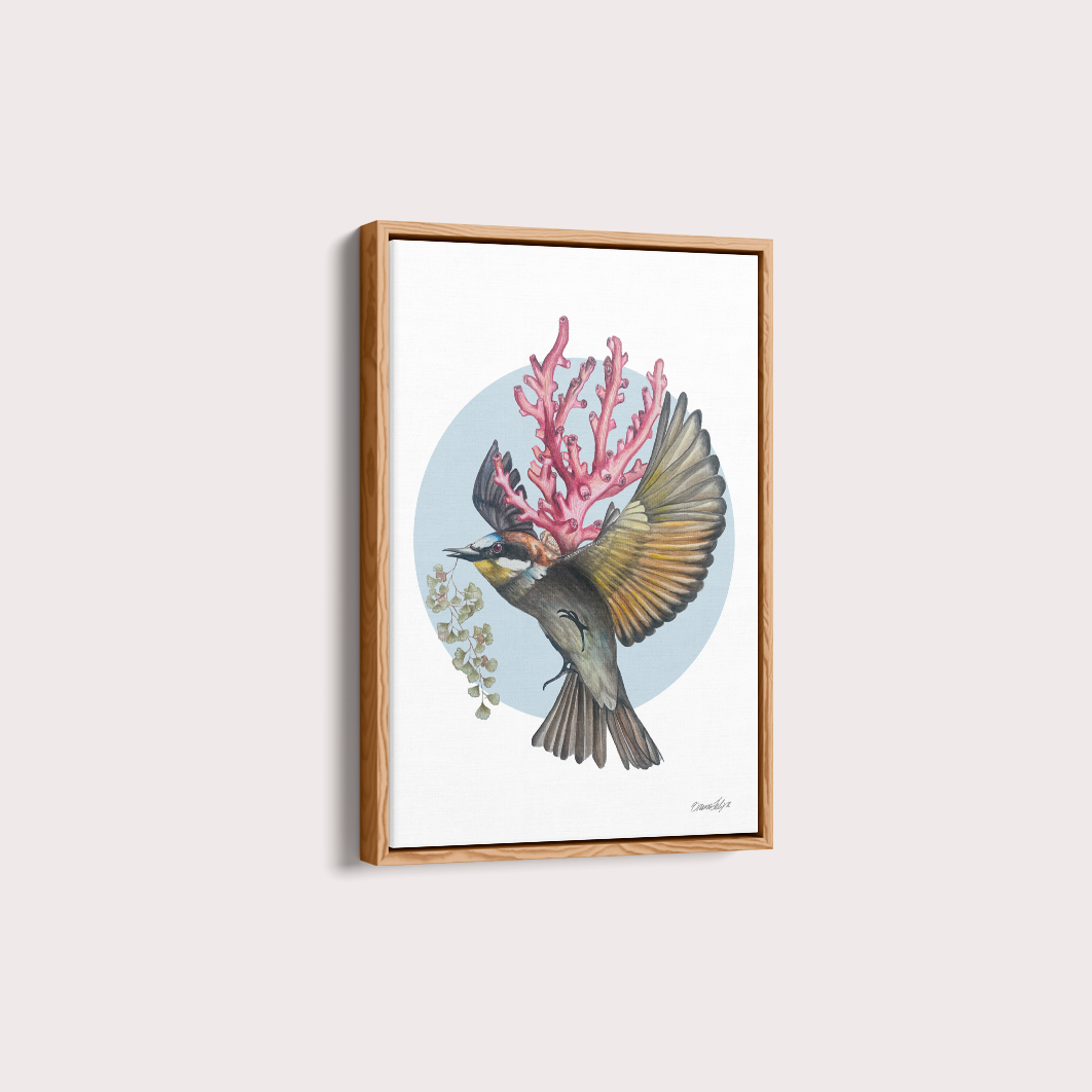Quadro Bem-te-vi por Bruno Felipe