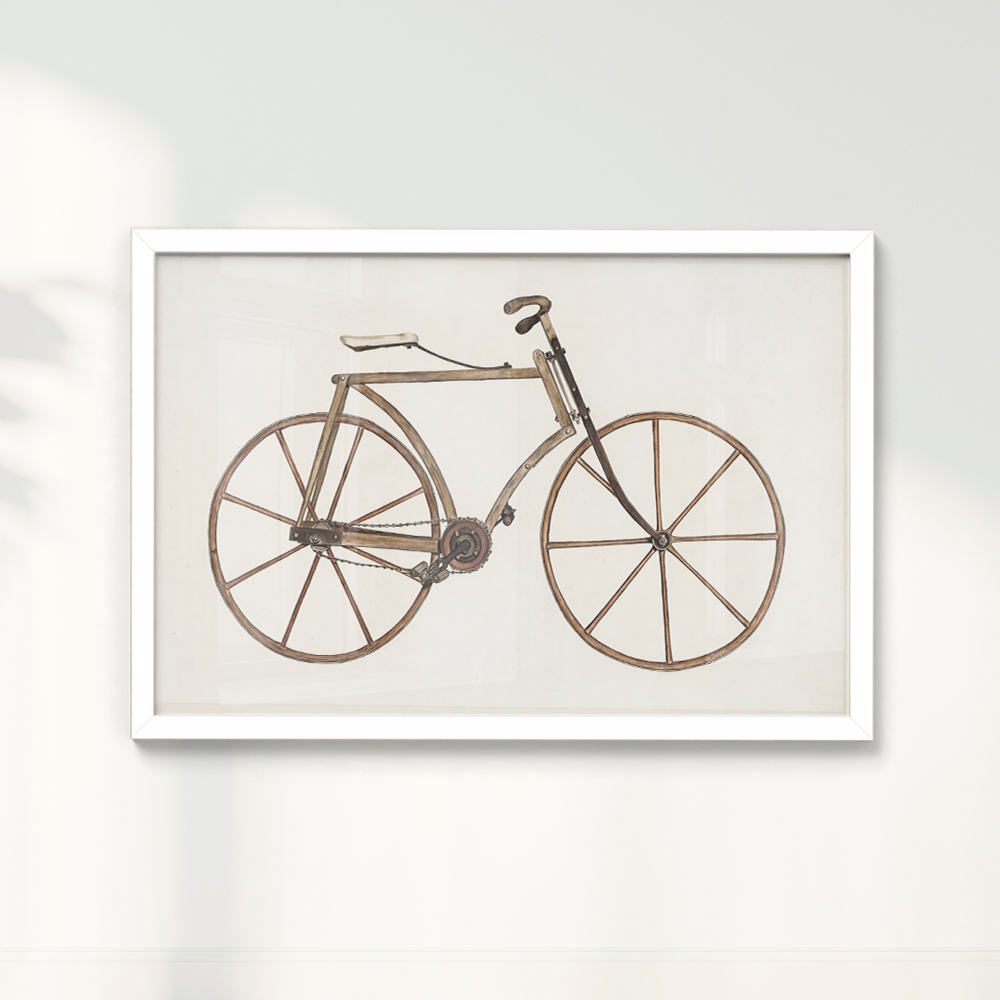 Quadro Bicicleta Vintage