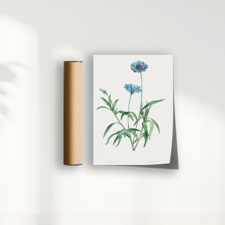 Quadro Blue Flower vintage I