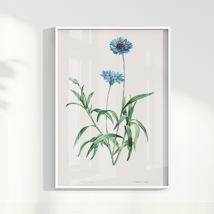 Quadro Blue Flower vintage I