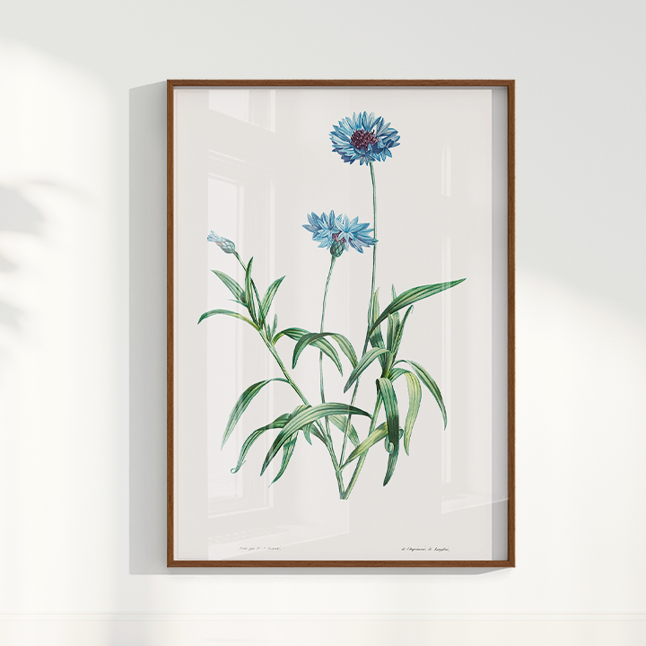 Quadro Blue Flower vintage I