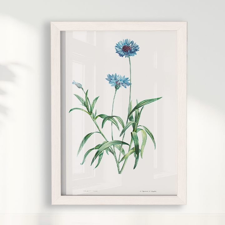 Quadro Blue Flower vintage I