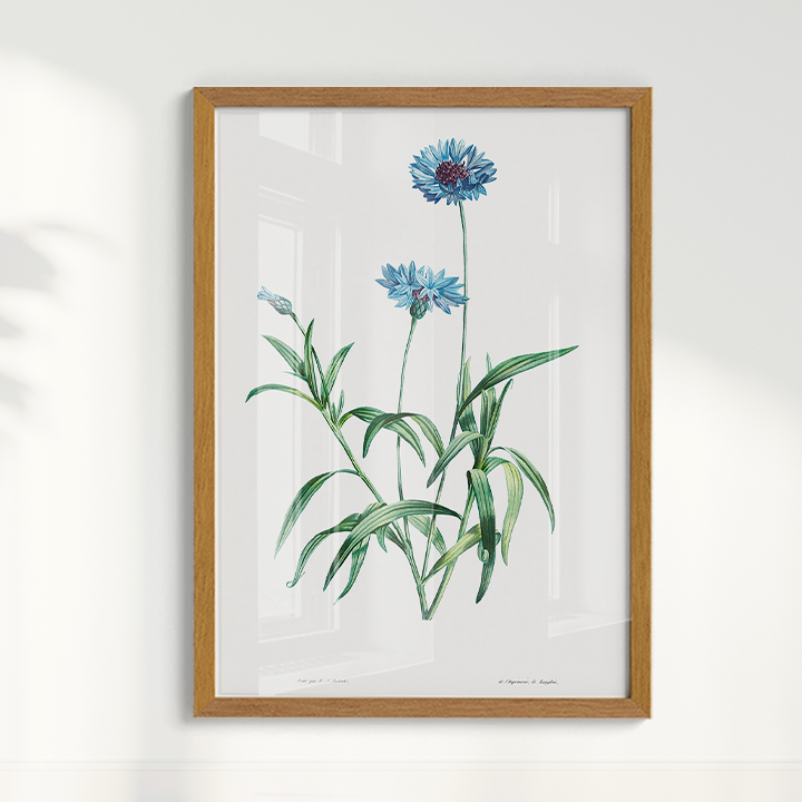 Quadro Blue Flower vintage I
