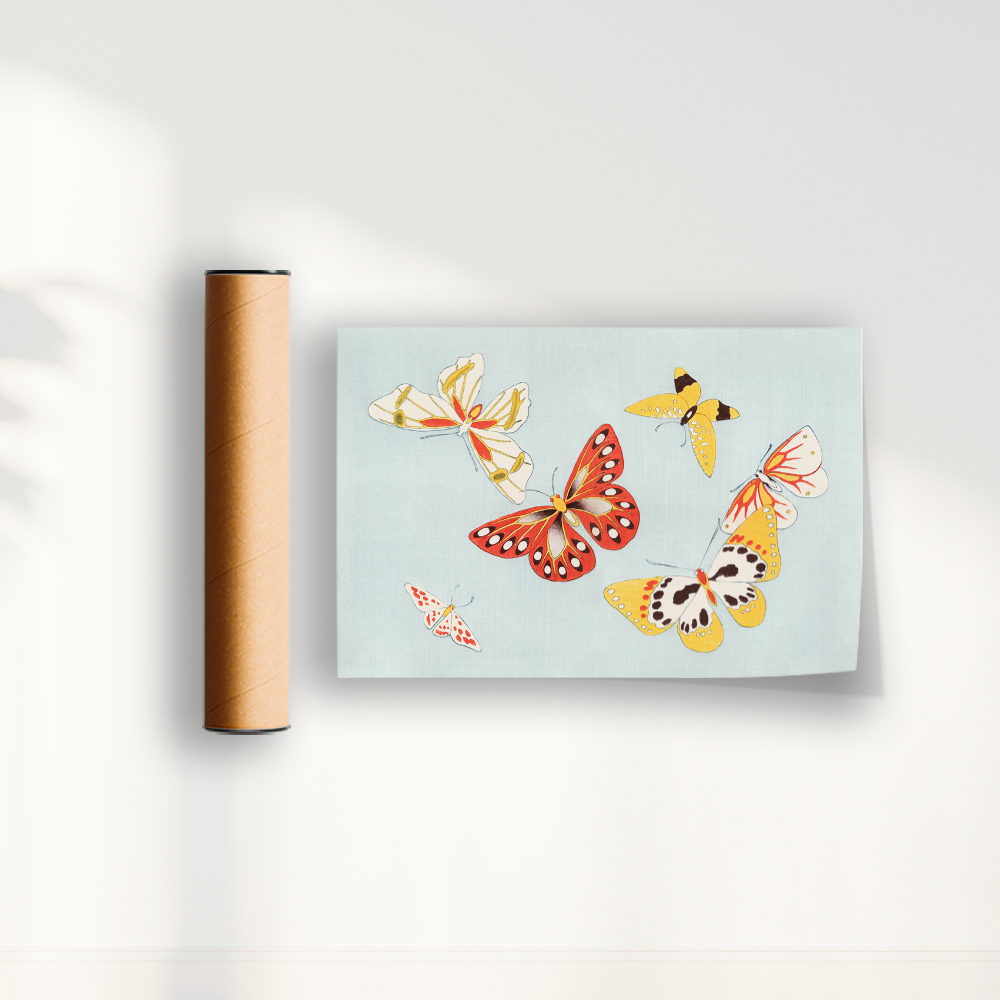 Japanese butterfly