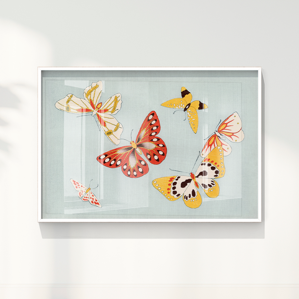 Japanese butterfly