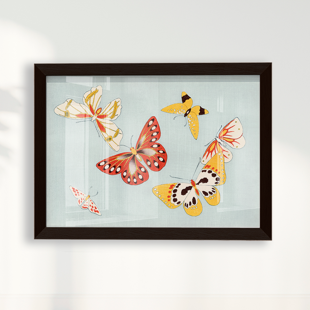 Japanese butterfly
