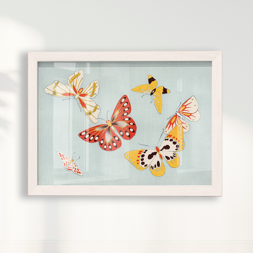 Japanese butterfly