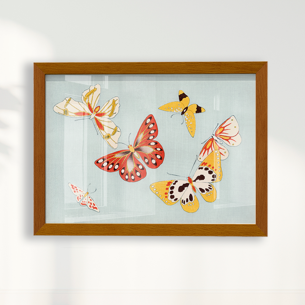 Japanese butterfly