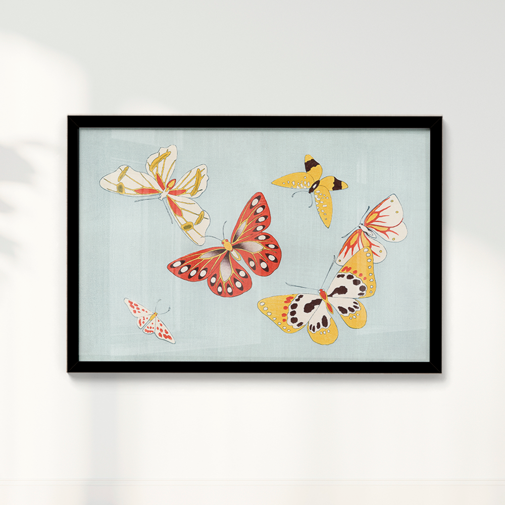 Japanese butterfly