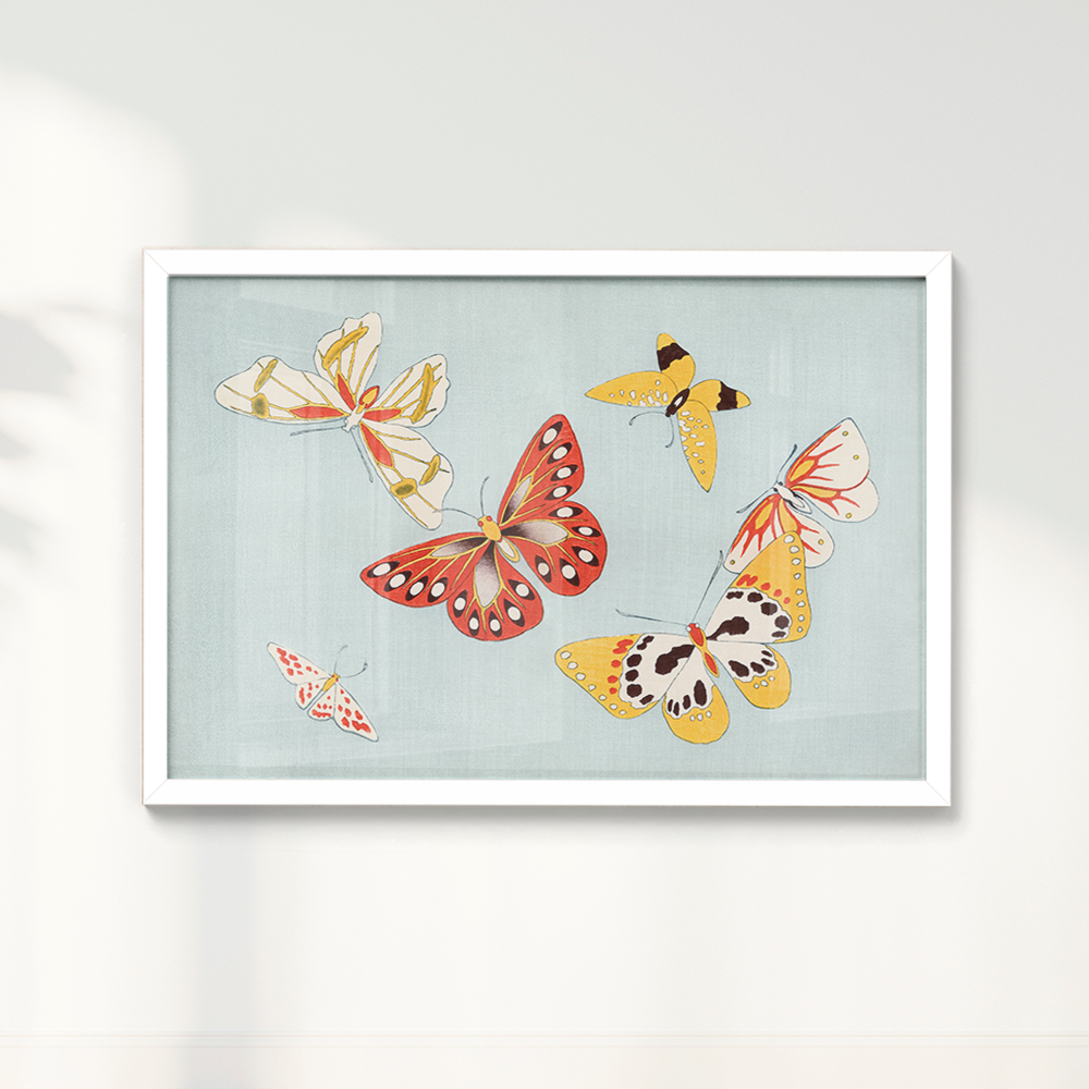 Japanese butterfly