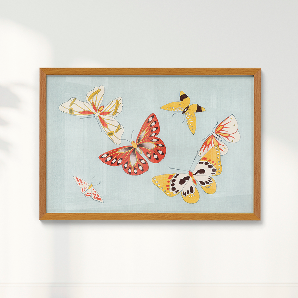 Japanese butterfly