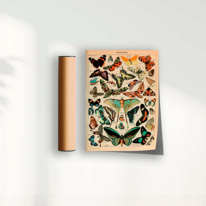Quadro Papillons - Borboletas