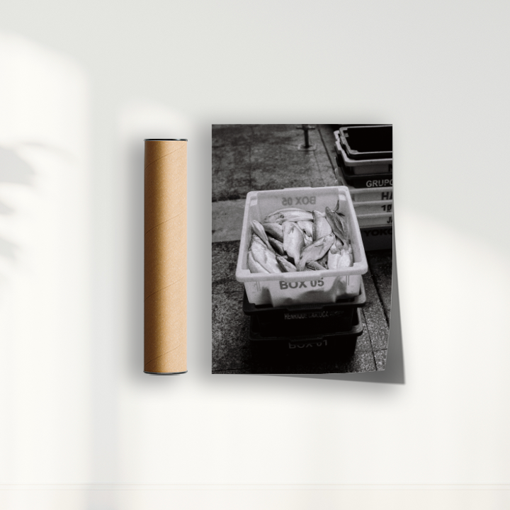 Quadro Box 05 por Angus Waddacor-McConill