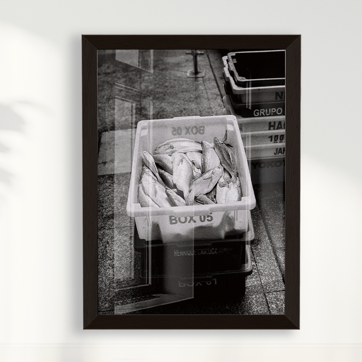 Quadro Box 05 por Angus Waddacor-McConill