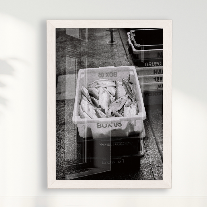 Quadro Box 05 por Angus Waddacor-McConill