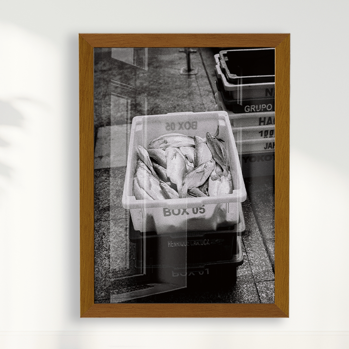 Quadro Box 05 por Angus Waddacor-McConill