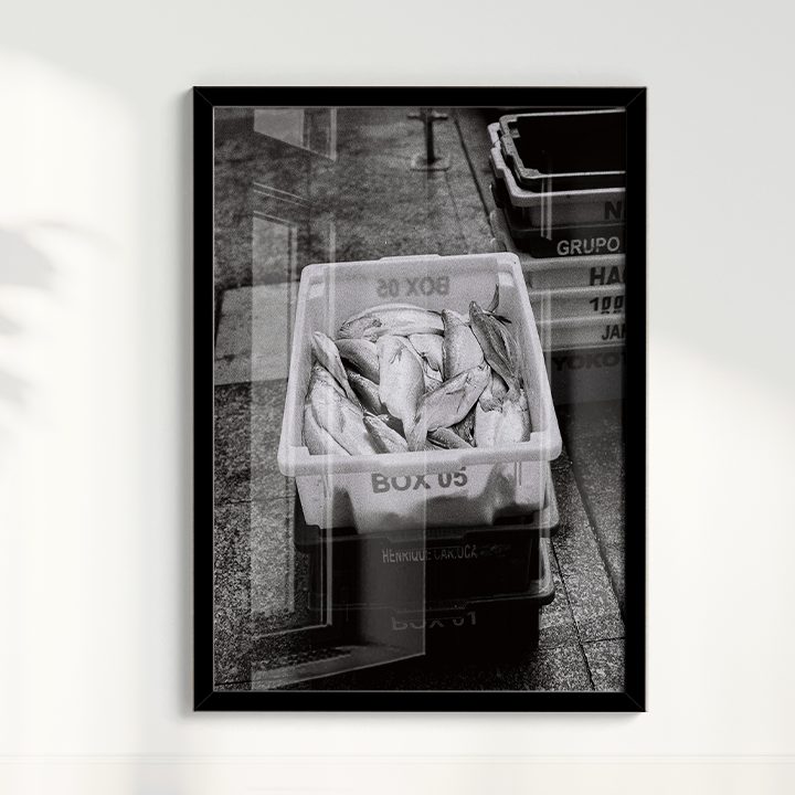 Quadro Box 05 por Angus Waddacor-McConill