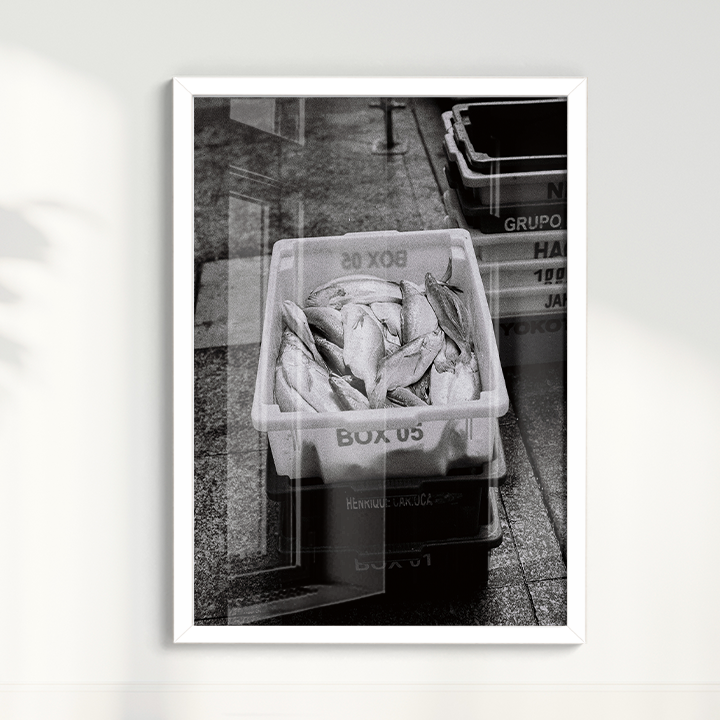 Quadro Box 05 por Angus Waddacor-McConill